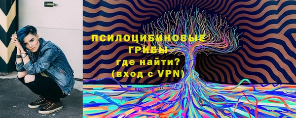 СК Арсеньев