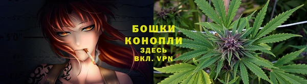 таблы Дмитриев