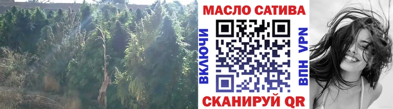 цены наркотик  Вилючинск  Дистиллят ТГК концентрат 